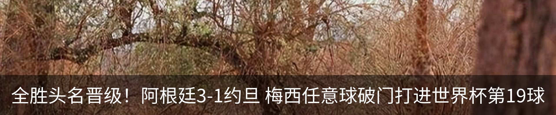 新闻动态