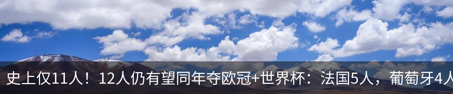 新闻动态