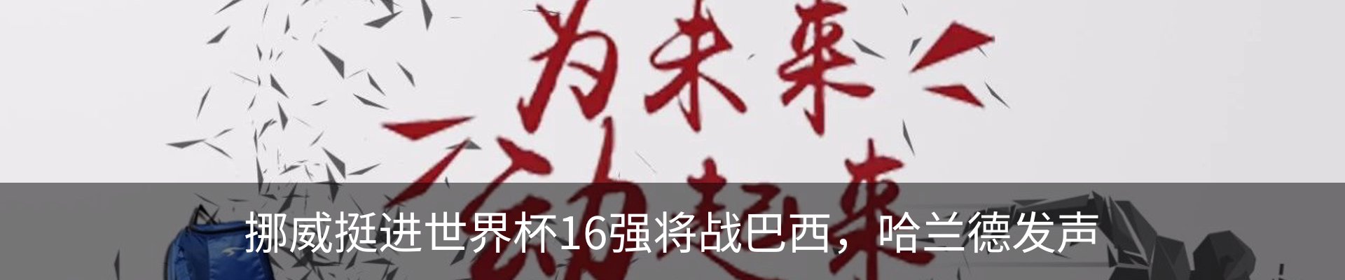 新闻动态